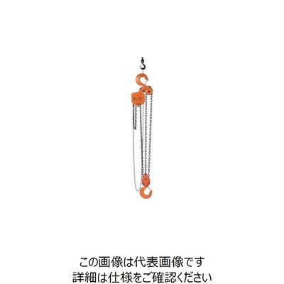 バイタル工業 バイタル チェンブロックVL5シリーズ 7.5t VL5-75 1台 851-5713（直送品）