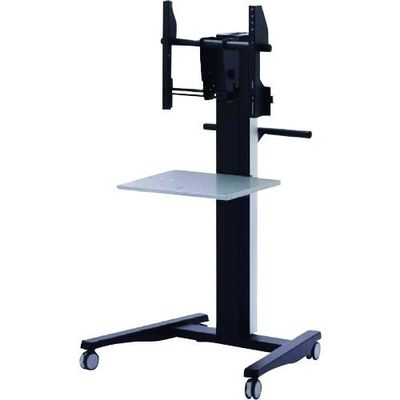 一ノ坪製作所 一ノ坪 ディスプレースタンド ミニカニプラス TCDS-IC46N 1台 200-4386（直送品）