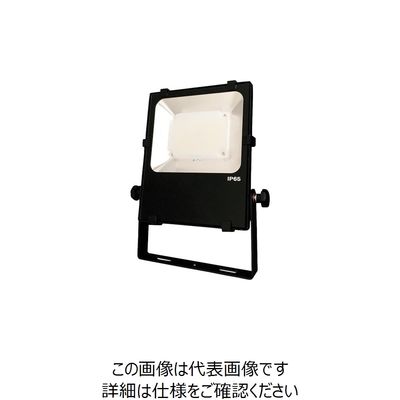 日機 LED投光器 30W AC100ー120V NLFL30D-AC1-S(3M+P) 1台 253-1547（直送品）