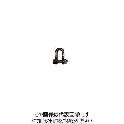 大洋製器工業 大洋 JISシャックル M級 黒 SBー65(1007723) SB-65 1個 849-2514（直送品）