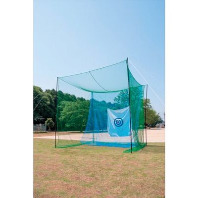 イノベックス Dio スポーツネット”全球入魂” 280198 1箱(1枚) 124-2116（直送品）