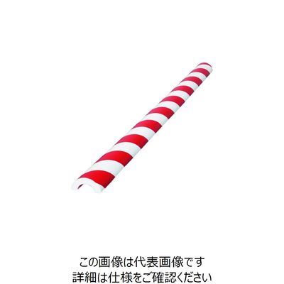 岩田製作所 IWATA バンパープロ Rタイプ50 1M 赤/白 BP9R-L1 1本 220-9852（直送品）