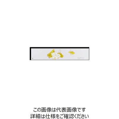 大黒工業 大黒 ディッシュ用掛紙 Dー29 120290 1組(500枚) 236-6576（直送品）