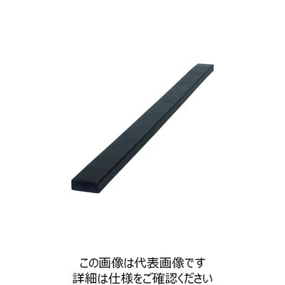 岩田製作所 IWATA バンパープロ フラットタイプ 1M 黒 BP5B-L1 1本 188-4983（直送品）