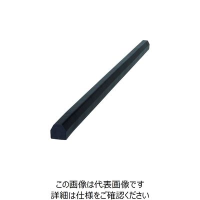 岩田製作所 IWATA バンパープロ フラットタイプ 1M 黒 BP35B-L1 1本 188-5002（直送品）