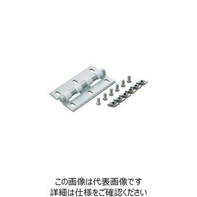 AS-HG-CV100-40-10（直送品）
