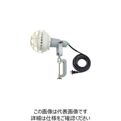 日動工業 日動 エコビックLED投光器40W 昼白色 2P10m AFL-4010J 1台 249-8729（直送品）
