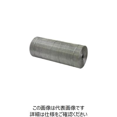 タキロンシーアイプラス TKCP 亜鉛引平織金網 #18×2.5メッシュ 455mm×30m 202296 1巻 123-2809（直送品）