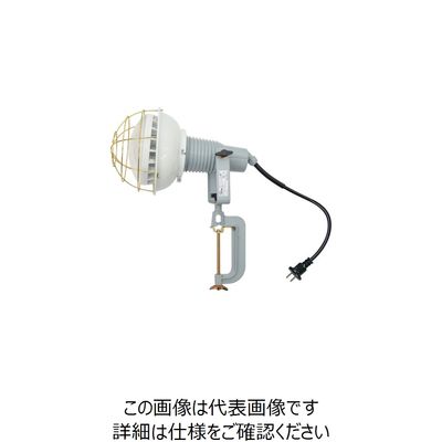 日動工業 日動 エコビックLED投光器40W 昼白色 2P0.3m AFL-4000J 1台 249-8719（直送品）