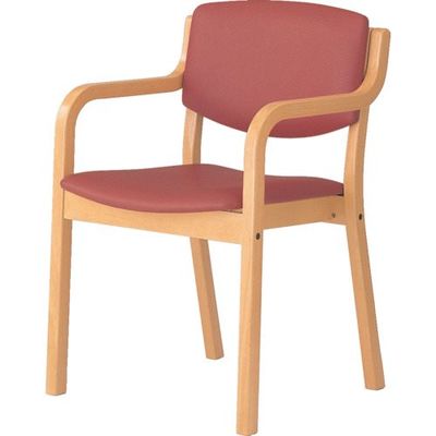 ナイキ 木製チェアー E205-LGR 1個(1脚) 868-4753（直送品）