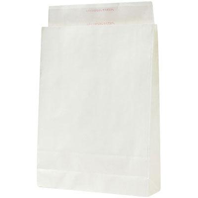 パックタケヤマ 宅配袋 大 白 XZVTHL02 100枚（直送品）