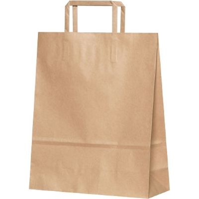 パックタケヤマ 紙袋 平紐 4才 茶無地 XZT69853 200枚（50×4）（直送品）