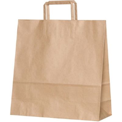 パックタケヤマ 紙袋 平紐 3才 茶無地 XZT69851 200枚（50×4）（直送品）