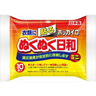 興和 ホッカイロ ぬくぬく日和 貼るミニ 4987067829903 1セット（120個：10個×12）（直送品）