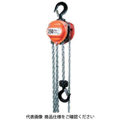 スリーエッチ HHH チェーンブロック 定格荷重0.25t 揚程2.5m R-CB250 1台 808-7221（直送品）