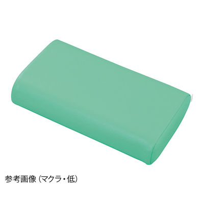 アズワン かどまるマクラ(中) ライトグリーン TPH-PG 1個 7-7494-04（直送品）