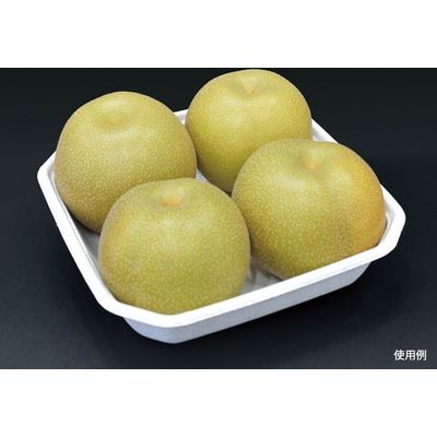 パックスタイル WB麦バガス フルーツトレー4L 617869 600枚（50×12）（直送品）