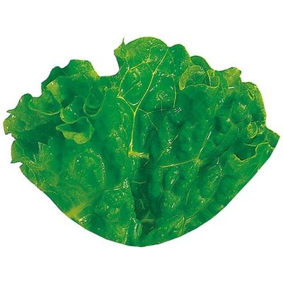 ユニバース グルメシート グリーンリーフS 丸小 12301 1包装(1000枚入)（直送品）