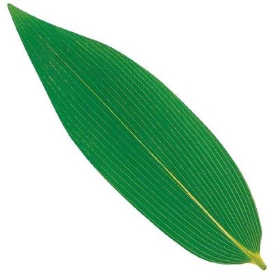 ユニバース グルメシート 熊笹L 丸大 13301 1包装(500枚入)（直送品）