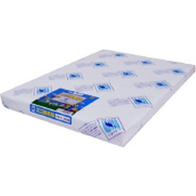 エコ画用紙4ツ切中厚口 105-4 200枚 エコガヨウシ4キリチユウアツ105-4 北越コーポレーション（直送品）