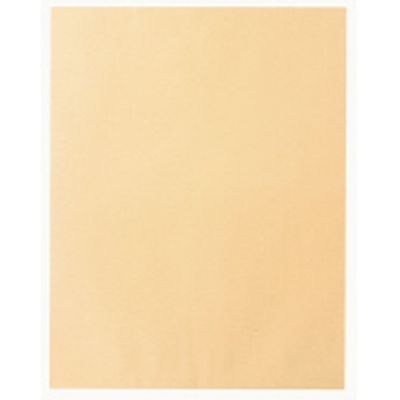 高春堂 ビッグ1封筒 クラフト 100枚入 741（直送品）