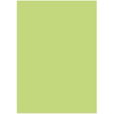 オフィス用紙カラーR100 A4グリン500枚*5冊 リサイクル グリーンA4 北越コーポレーション（直送品）