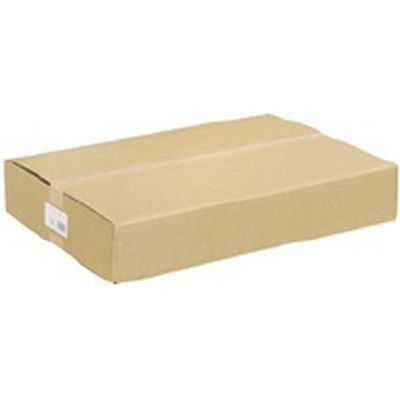 日本紙通商 コピー用紙A2中性紙 箱 PPC-A2 500枚*2冊（直送品）