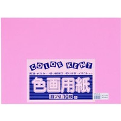 大王製紙 再生色画用紙 4ツ切 10枚 フラミンゴ 867727（直送品）