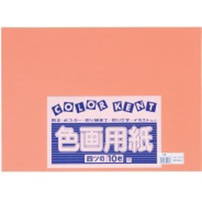 大王製紙 再生色画用紙 4ツ切 10枚 かき 867720（直送品）