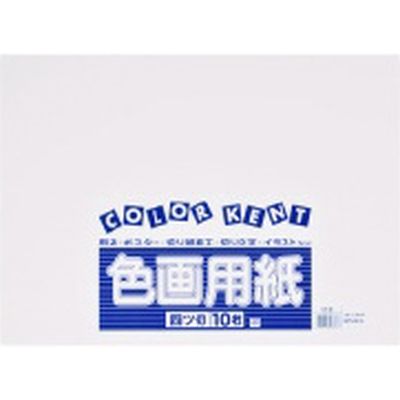 大王製紙 再生色画用紙 4ツ切 10枚 うさぎ 867719（直送品）