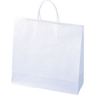 紙手提袋 小 100枚 320×320×115mm 857075（直送品）