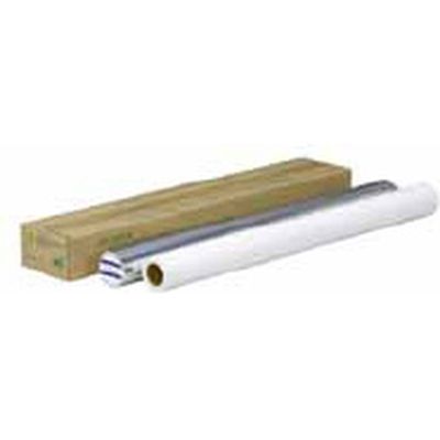 エム・ビー・エス ロール紙 直接感熱紙（白地青字） 1本（直送品）