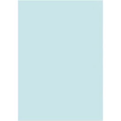 オフィス用紙カラーR100 B4ブルー500枚*5冊 リサイクル ブルーB4 北越コーポレーション（直送品）