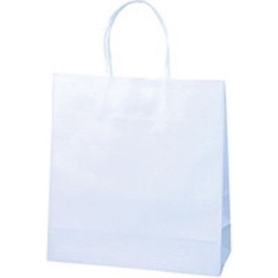 紙手提袋 特小 100枚 290×260×100mm 857139（直送品）