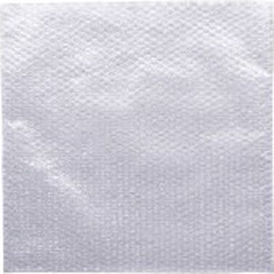 タチバナ エアークッション平袋 大 100枚入 M450450 エアークツシヨンヒラブクロ/ダイ（直送品）