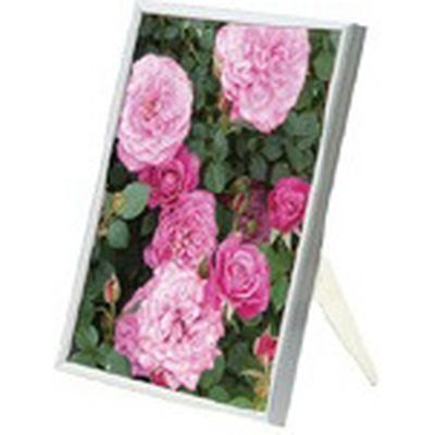 スリムエイト B1 シルバー S8-B1-SV ソフケン（直送品）