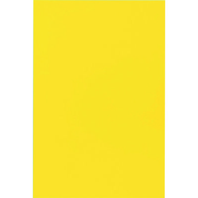 トラスコ中山 TRUSCO マグネルミナシート 0.7×200×300 蛍光イエロー MLS-A2-Y 1枚 161-2356（直送品）