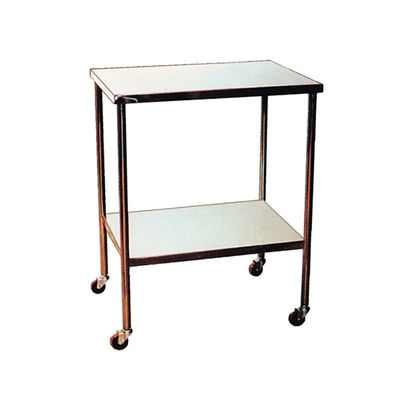 金沢車輌 器械卓子 450×300×750mm NSH-11E 1個 62-1622-97（直送品）