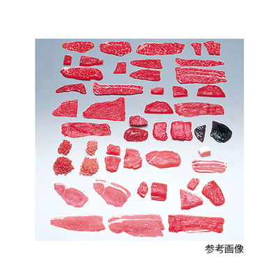 イワイサンプル フードモデル(獣鳥肉類) 牛肉バラ30g 5-10 1個 62-8599-83（直送品）