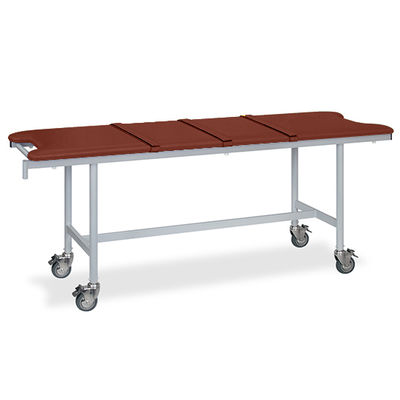 高田ベッド製作所 アルミストレッチャー100(ベルト付き) 幅70×長さ180×高さ90cm ライトブラウン TB-1351 1個（直送品）