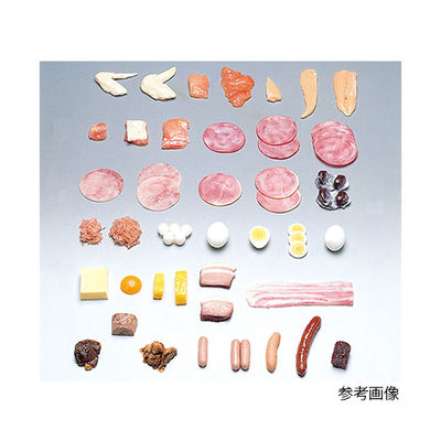 イワイサンプル フードモデル(獣鳥肉類) 缶詰牛肉味付き40g 5-83 1個 62-8600-61（直送品）