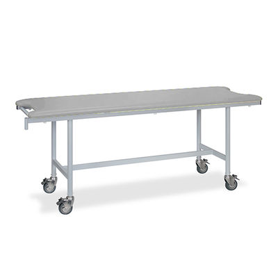 高田ベッド製作所 アルミストレッチャー100 幅65×長さ180×高さ70cm グレー TB-1348 1個 62-5015-37（直送品）