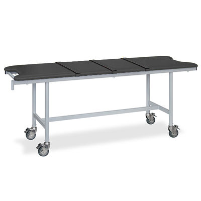 高田ベッド製作所 アルミストレッチャー100(ベルト付き) 幅70×長さ180×高さ75cm 黒 TB-1351 1個 62-5030-94（直送品）