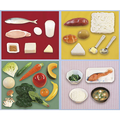 いわさき 食育基本フードモデル29 IGF-002 1式 62-1626-74（直送品）