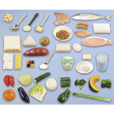 いわさき 6つの基礎食品フードモデル IGF-003 1式 62-1626-75（直送品）