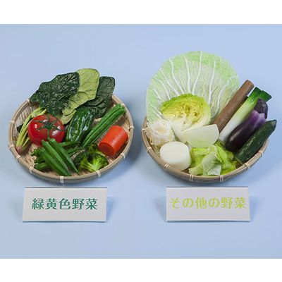 いわさき 野菜1日350g指導フードモデル IGF-004 1式 62-1626-76（直送品）