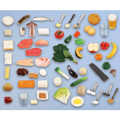 いわさき 栄養教育基本フードモデル57 IGF-001 1式 62-1626-73（直送品）