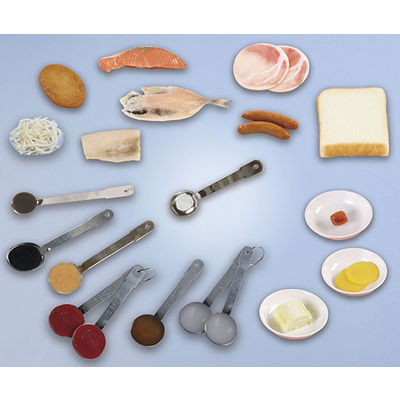 いわさき 食塩1gの食品モデル IGF-012 1式 62-1626-84（直送品）