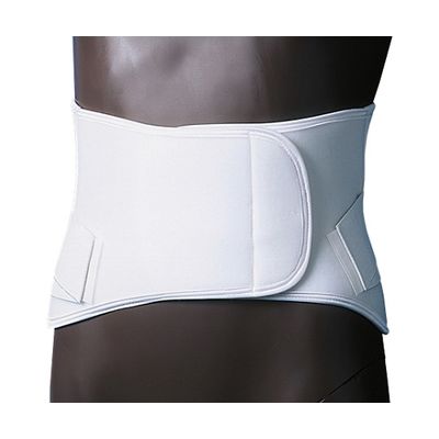 日本衛材 ウエストタイDX LL 1個 NE-524 61-8510-48（直送品）