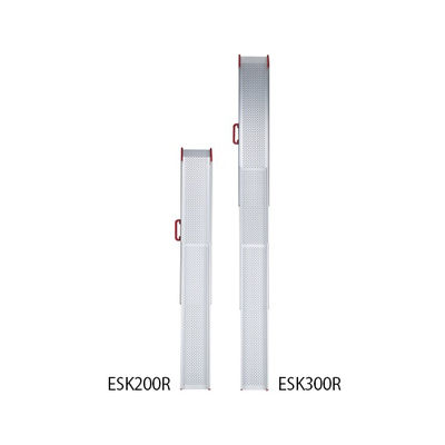 イーストアイ ESKスライドスロープ3m Rタイプ ESK300R 1セット 62-8148-96（直送品）